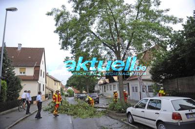 Baum stuerzt bei Unwetter auf die Strasse