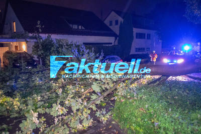 Unwetter in Süddeutschland: Feuerwehr im Dauereinsatz, beseitigt Bäume (Ditzingen)