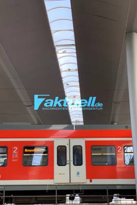 Taubenproblematik am Bahnhof Leinfelden - Widerliche Zustände (Tote Tauben im Netz unter dem Dach & Taubenkot) - Ist nun ein Falke die Lösung des Problems?