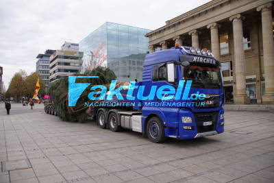 Stuttgart Mitte: Weihnachtsbaum am Schlossplatz aufgestellt