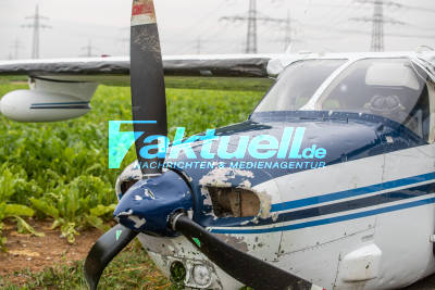 Flugzeug durch Großhagel durchlöchert: Cessna muss wegen Unwetter auf Feld notlanden -  Vater und Sohn glücklicherweise unverletzt
