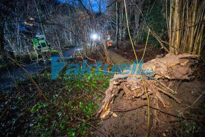 STURM: Wuchtiger Baum begräbt Spaziergänger unter sich: Feuerwehr muss nach Sturm eingeklemmte Personen retten - Zwei teils schwer Verletzte