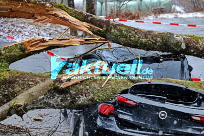 IM AUTO sitzend unter großem Baum begraben - kurz vor seinem Geburtstag - Mann nur leicht verletzt, musste von Feuerwehr befreit werden