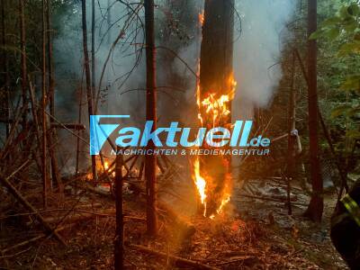 Lagerfeuer außer Kontrolle: Erster Waldbrand in Stuttgart - Feuerwehr warnt vor hoher Waldbrandgefahr - Flughafenfeuerwehr im Einsatz - Grillstellen gesperrt