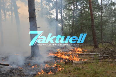 Hoffen auf Regen: Waldbrand auf ex-Truppenübungsplatz noch immer nicht unter Kontrolle - Brand weitet sich auf 88 Hektar aus - Mehr als 300 Einsatzkräfte im Einsatz - Drehende Winde erschweren Löscharbeiten