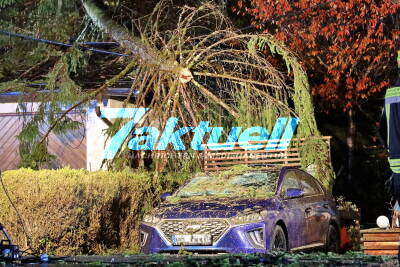 Mächtige Fichte stürzt nach Unwetter auf Haus und Auto und begräbt beides unter sich - enormer Schaden Anwohner hatten Riesen Glück, Wetterumschwung 