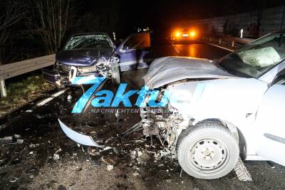 Fuchs verursacht schweren Unfall mit mehreren Verletzten