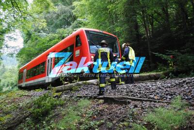 Baum blockierte Zugstrecke - Feuerwehr zersägt Baum und evakuiert Zug