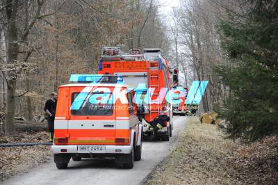 Waldbrand auf einer Fläche von 15000m^2 - Feuerwehren im Großeinsatz - Brandstiftung nicht ausgeschlossen