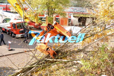 Stuttgart 21: Baumfällarbeiten Ehmannstrasse