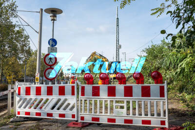 Baumfällarbeiten am Feuerbacher Bahnhof