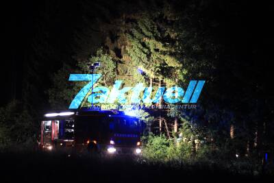 Hase ausgewichen - BMW Cabrio kommt von Fahrbahn ab und prallt gegen Bäume - Beifahrer stirbt bei schwerem Unfall