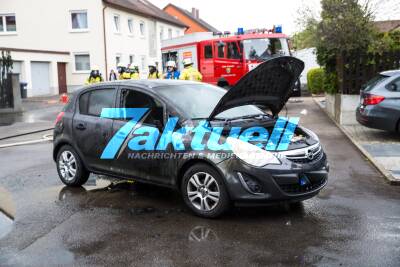 Unkrautjäten läuft schief: Thuja-Hecke angezündet - Auto in Brand gesetzt