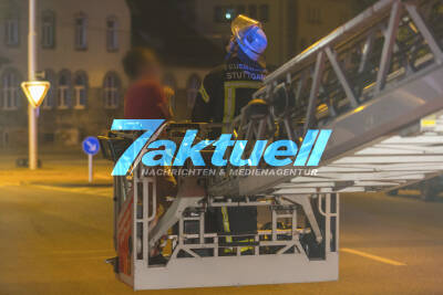 Feuerwehr lockt Katze mit Hilfe der Drehleiter vom Dach