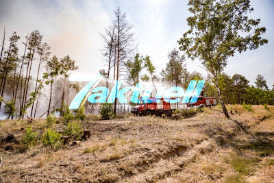 Waldbrand in Jüterbog breitet sich auf 150 Hektar aus - Beklemmende Bilder: verkohlter Waldboden, der noch qualmt