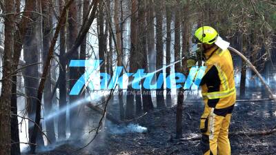 Erster Waldbrand nahe Wulkow: Feuerwehr kämpft stundenlang gegen Flammen auf 5000 Quadratmetern - 