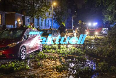 Windhose fegt durch Tiergarten - Unwetter, Sturm und umgeknickte Bäume: Orkan sorgt für über 400 Einsätze der Berliner Feuerwehr