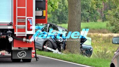 Mini kracht auf Allee gegen Baum - Mann schwer verletzt mit Hubschrauber in nahegelegenes Krankenhaus geflogen