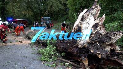 Massive Bäume bei Unwetter auf Kreisstraße gestürzt - Räumung mit schwerem Gerät, O-Ton Feuerwehr