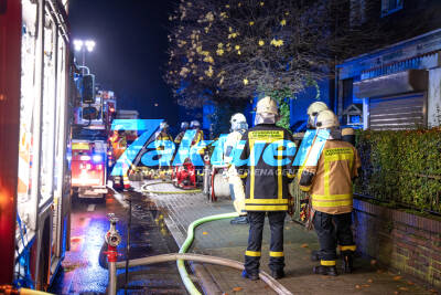 Katze bei Wohnungsbrand gestorben: Rettungskräfte löschen Feuer und bergen lebloses Tier aus den Flammen
