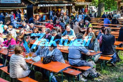 Traditionelles Loschter Handkeesfest lockt Tausende Besucher in den Maiblumenwald in der Pfalz