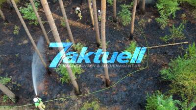 Waldbrand bei Rheinsberg– Brandstiftung vermutet - Anzeige aufgenommen - Polizei suchte im Nahbereich nach Brandstifter