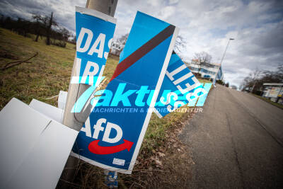 Dutzende AfD-Wahlplakate in Waiblingen zerstört