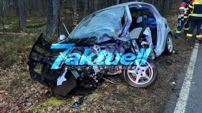 Tragischer Unfall in Brandenburg - Nach welpenkauf verunfallt - Ein Welpe Tod nach Baumcrash  - Fahrer Schwer Verletzt