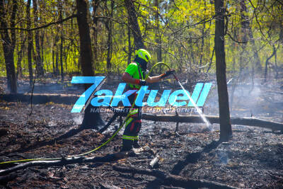 Schnelles Eingreifen verhindert Ausbreitung: Waldbrand in Oranienburg unter Kontrolle