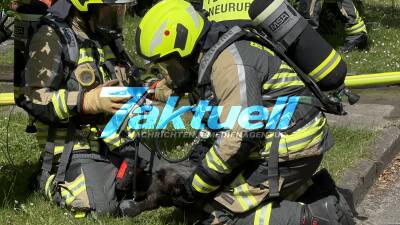 Feuerwehr versucht Katze zu reanimieren (on tape) - Eine Tote Katze bei Küchenbrand in Neuruppin - Feuerwehr versuchte sie, Wiederzubeleben