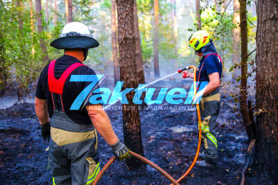 Waldbrand in der Kolonie Briese: Kräftezehrender Einsatz bei Schwierige Wasserversorgung erschwert Waldbrandeinsatz
