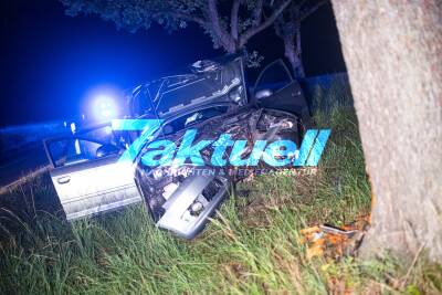 PKW kracht gegen Baum - Fahrer schwer verletzt